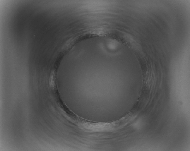 X0000074290036200608251356