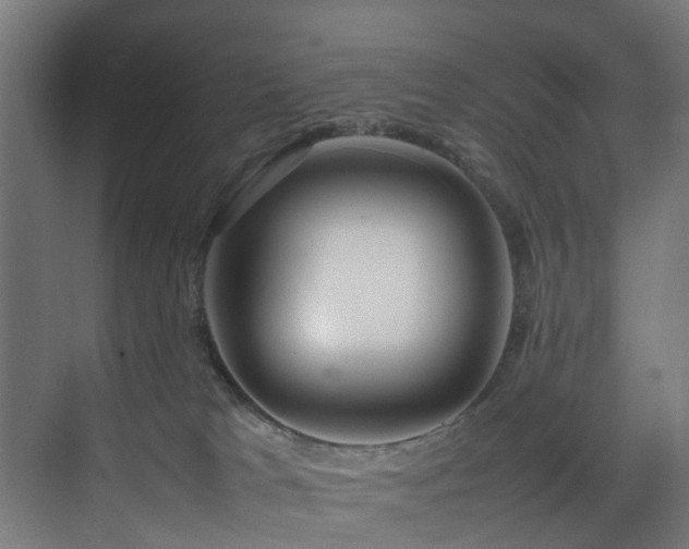 X0000074290037200608251356