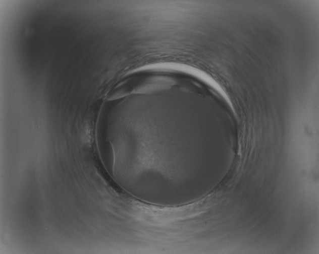 X0000074290039200608251356