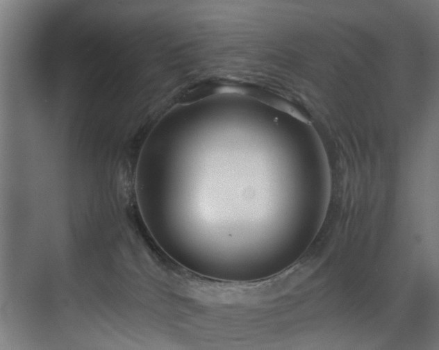 X0000074290040200608251356