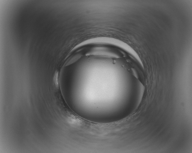 X0000074290041200608251355