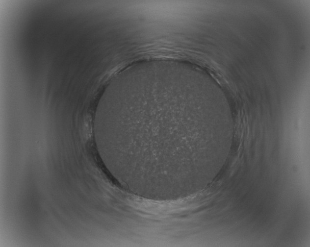 X0000074290043200608251355