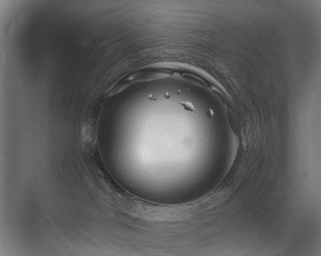 X0000074290044200608251355