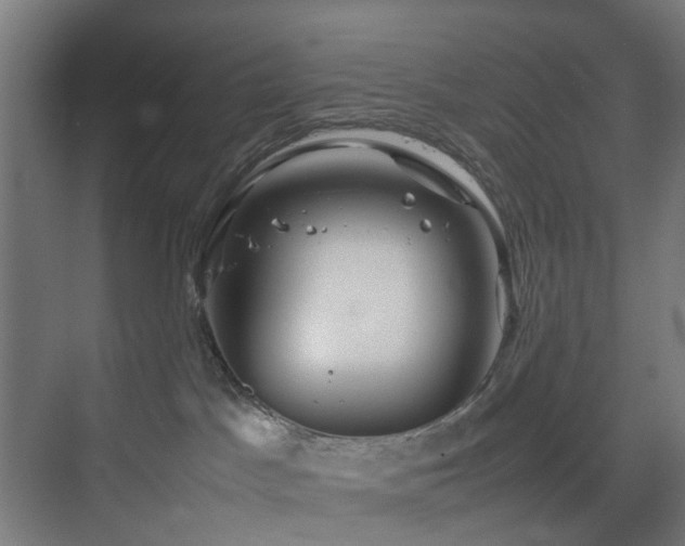 X0000074290045200608251355