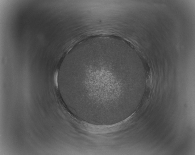 X0000074290047200608251355