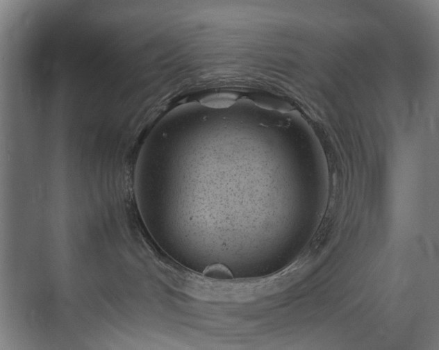 X0000074290048200608251355