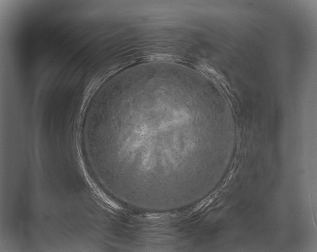 X0000074290049200608251355