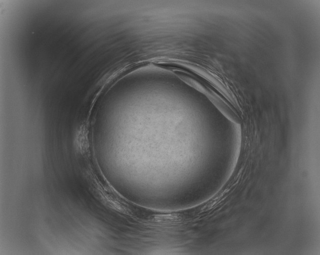 X0000074290050200608251355