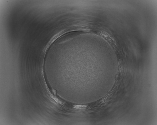 X0000074290051200608251355