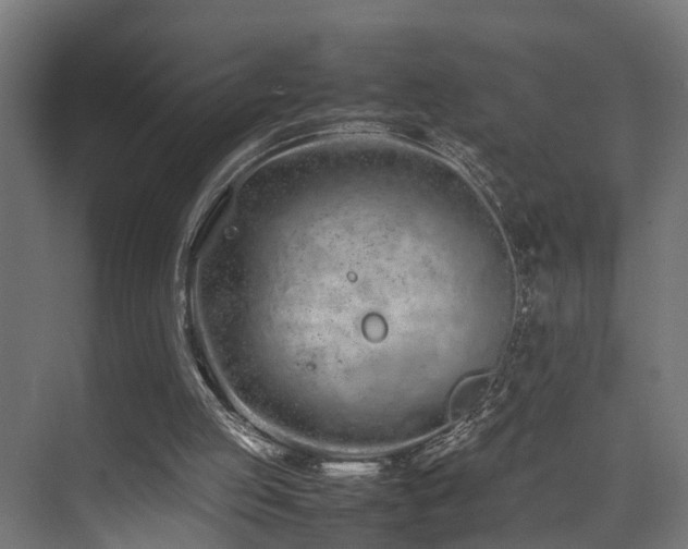 X0000074290053200608251355