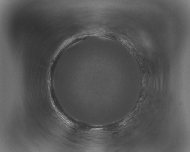 X0000074290054200608251355