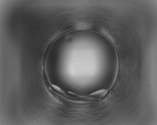 X0000074290059200608251355