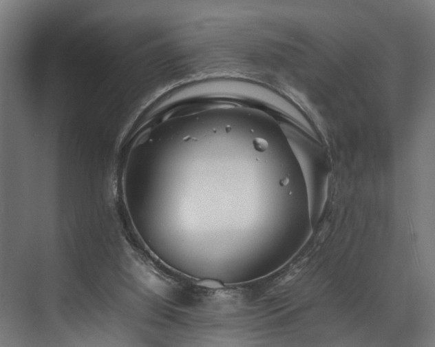 X0000074290060200608251355