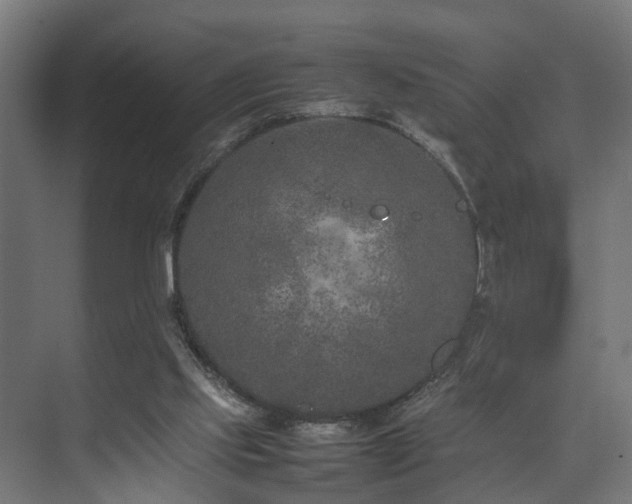 X0000074290061200608251355