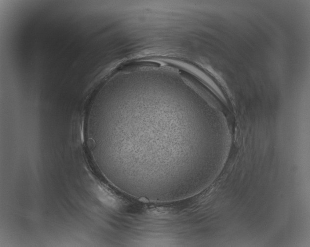 X0000074290062200608251355