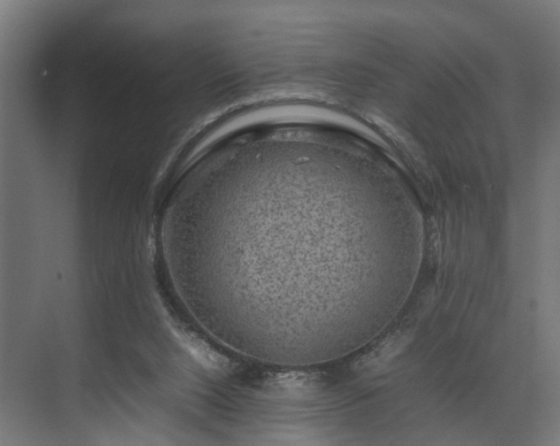 X0000074290064200608251355