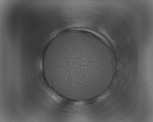 X0000074290068200608251355