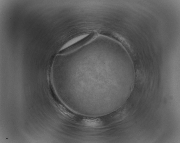 X0000074290069200608251355