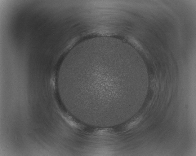 X0000074290072200608251355