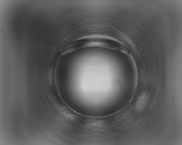 X0000074290073200608251355