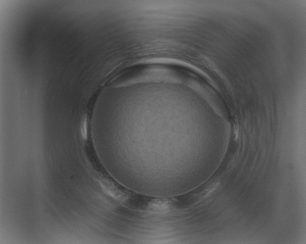 X0000074290076200608251355