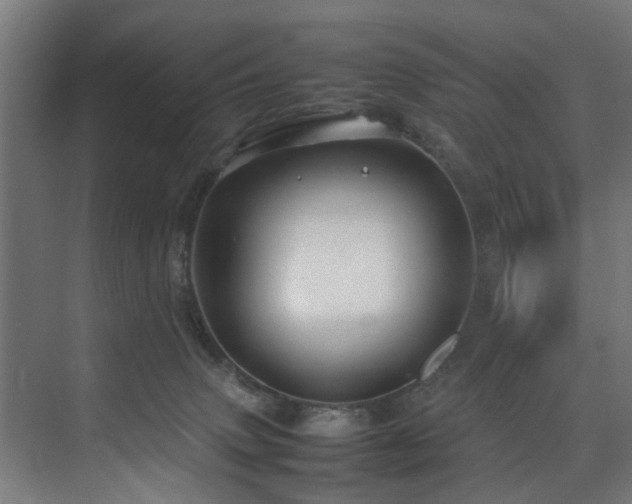 X0000074290083200608251355