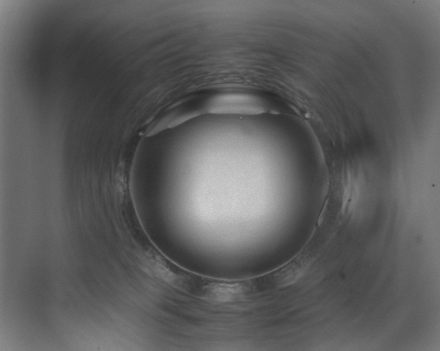 X0000074290085200608251355