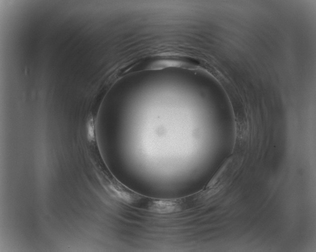 X0000074290095200608251355