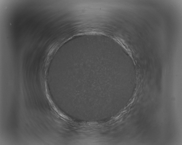 X0000074290097200608251355