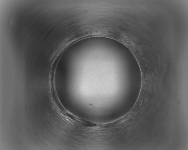 X0000074290098200608251355