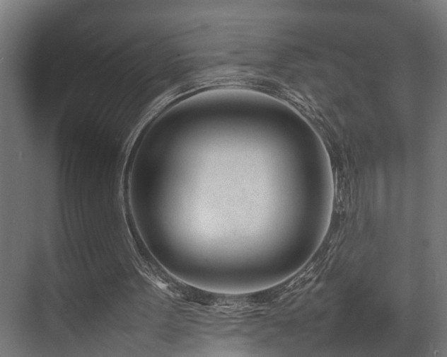 X0000074290099200608251355