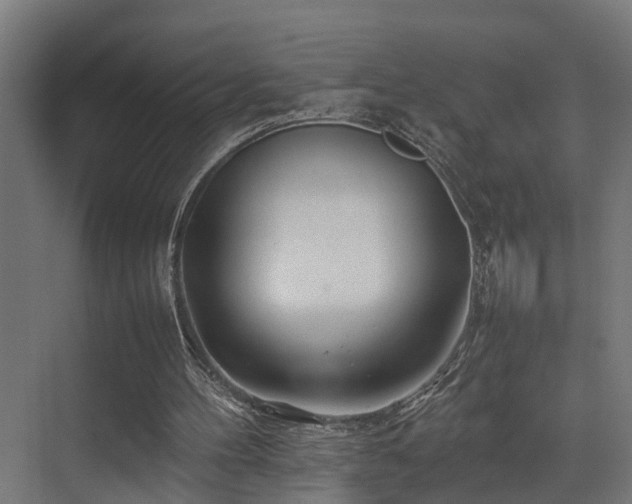 X0000074290100200608251354