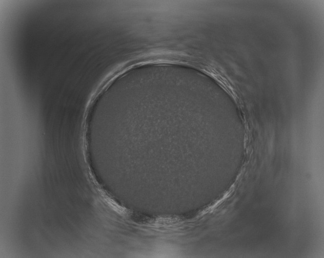 X0000074290101200608251354