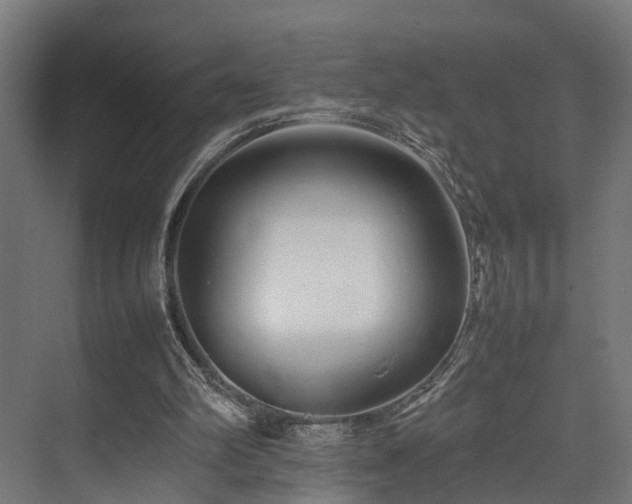 X0000074290102200608251354