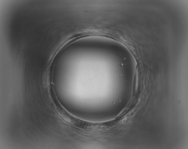 X0000074290103200608251354