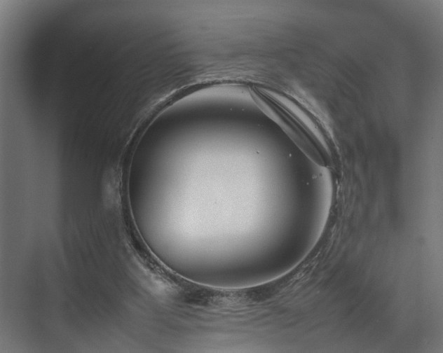 X0000074290107200608251354