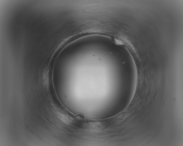 X0000074290108200608251354