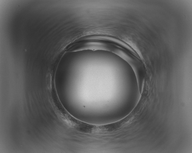 X0000074290109200608251354