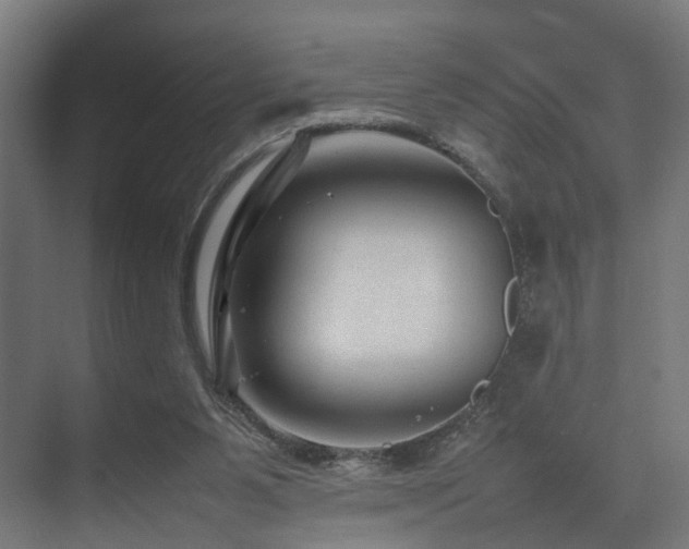 X0000074290111200608251354