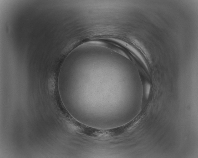 X0000074290113200608251354