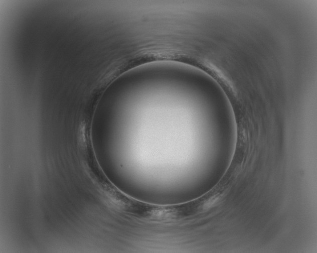 X0000074290117200608251354