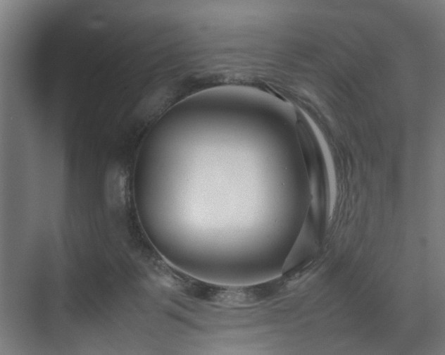 X0000074290123200608251354