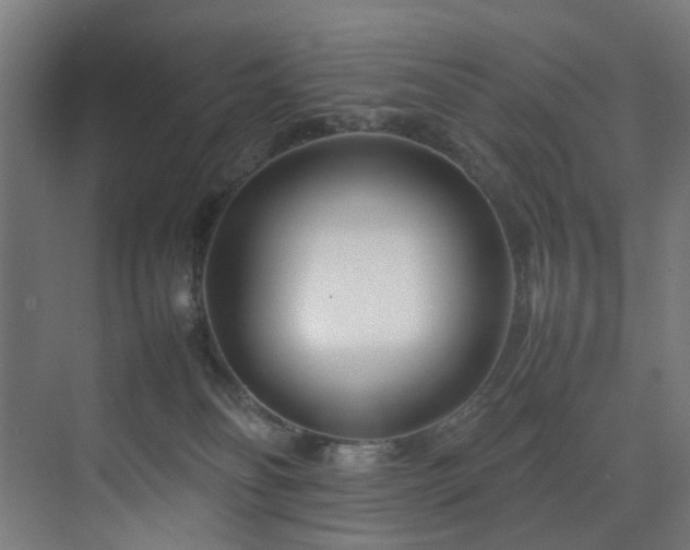 X0000074290134200608251354