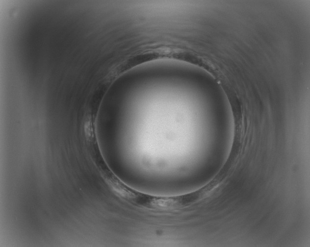 X0000074290137200608251354