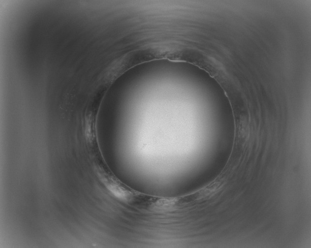 X0000074290138200608251354