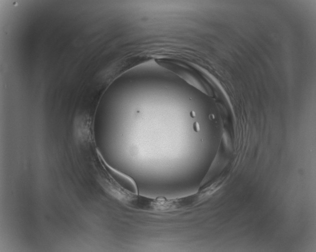 X0000074290141200608251354