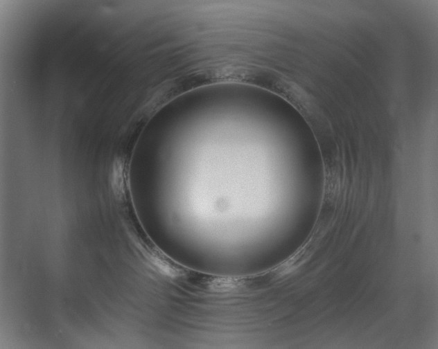 X0000074290142200608251354