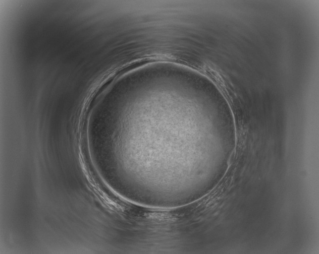 X0000074290145200608251353