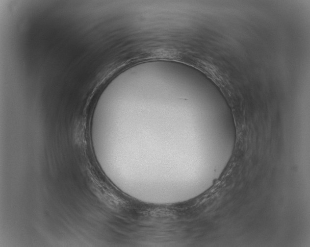 X0000074290146200608251353