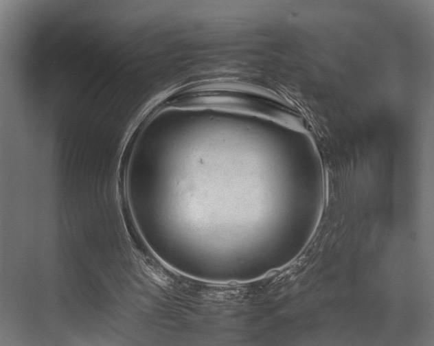 X0000074290147200608251353